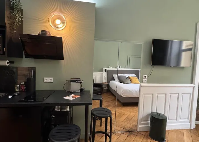 Apartamento De Charme Rénové En Centre-ville, Animaux Admis - Fr-1-555-123 Aix-les-Bains