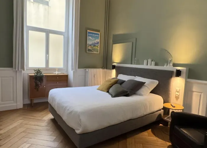 De Charme Rénové En Centre-ville, Animaux Admis - Fr-1-555-123 Aix-les-Bains