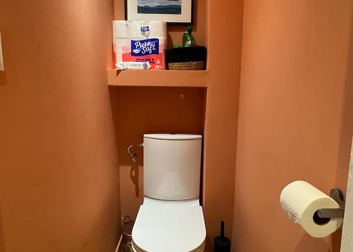 Apartamento De Charme Rénové En Centre-ville, Animaux Admis - Fr-1-555-123 Aix-les-Bains