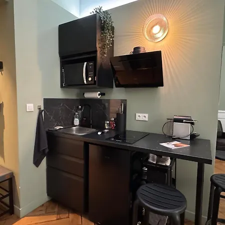 Apartment De Charme Renove En Centre-ville, Animaux Admis - Fr-1-555-123 Aix-les-Bains