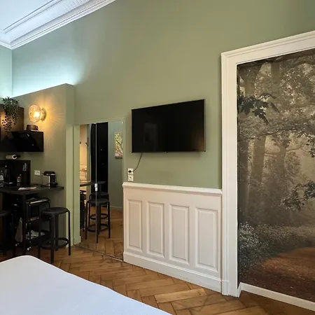 Apartment De Charme Renove En Centre-ville, Animaux Admis