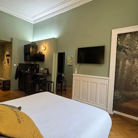 De Charme Renove En Centre-ville, Animaux Admis Apartment
