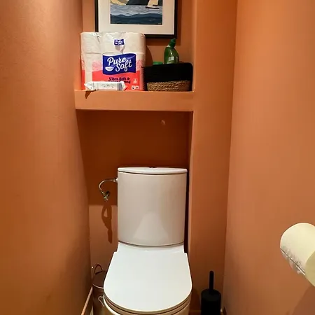 Apartment De Charme Renove En Centre-ville, Animaux Admis Aix-les-Bains