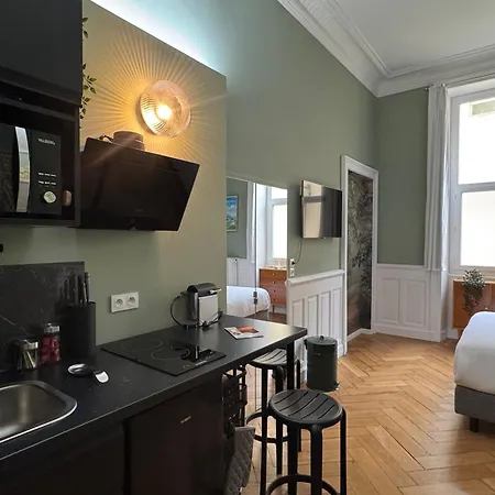 De Charme Rénové En Centre-ville, Animaux Admis - Fr-1-555-123 Appartement Aix-les-Bains