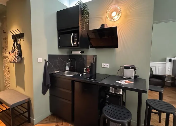 Apartment De Charme Renove En Centre-ville, Animaux Admis - Fr-1-555-123 Aix-les-Bains