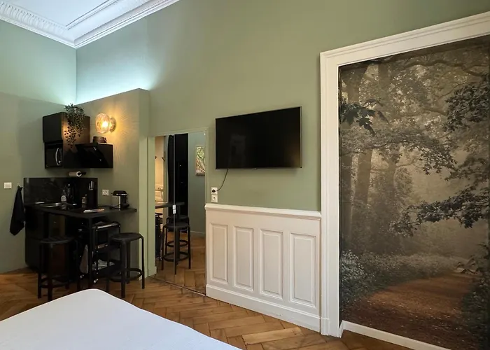 Appartement De Charme Rénové En Centre-ville, Animaux Admis - Fr-1-555-123