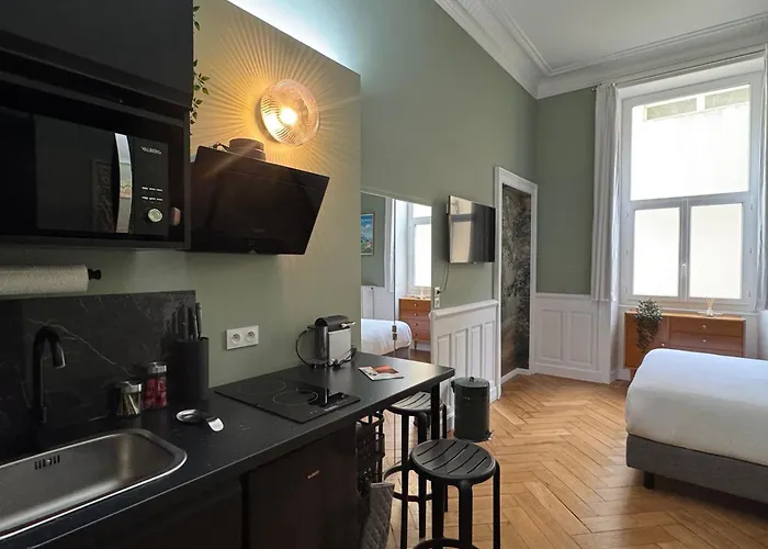 De Charme Rénové En Centre-ville, Animaux Admis - Fr-1-555-123 Appartement Aix-les-Bains