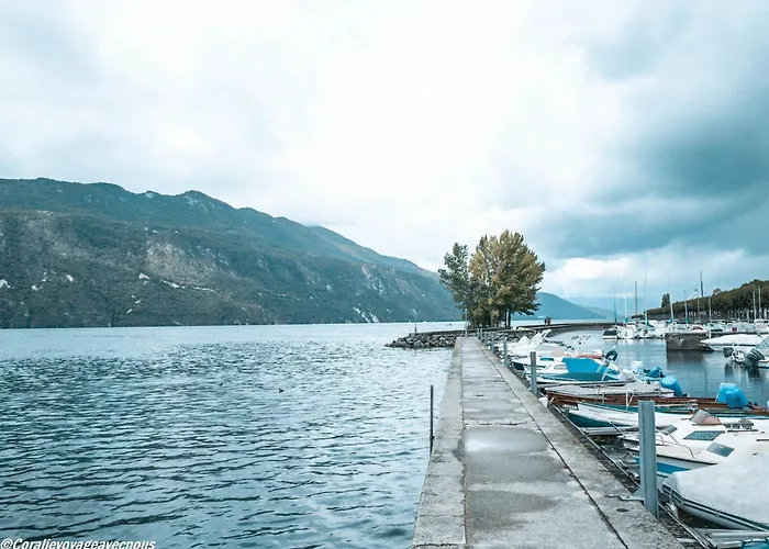 De Charme Renove En Centre-ville, Animaux Admis - Fr-1-555-123 * エクスレバン